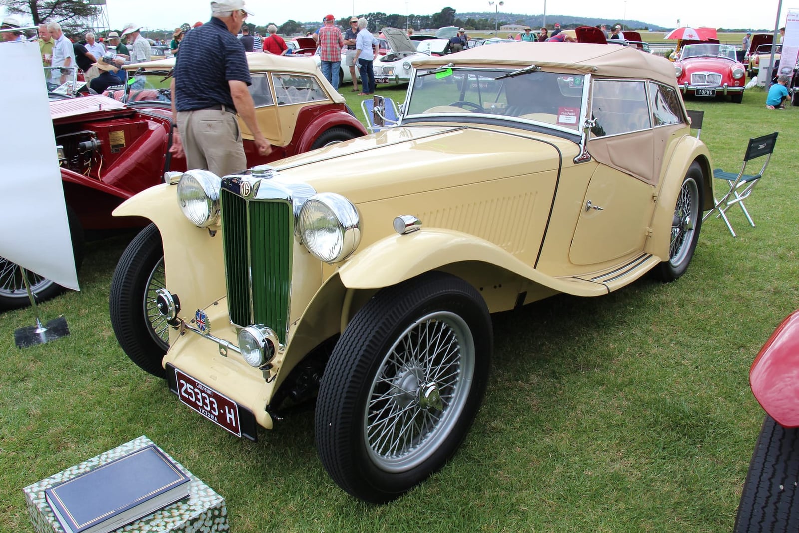 A cream MG TC roadster of 1948 on grass, front three-quarter view