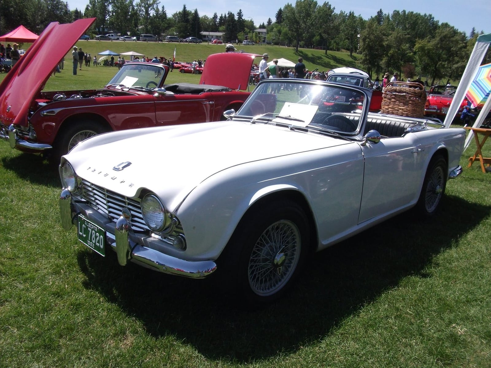 An early white Triumph TR4, front three-quarter view on grass