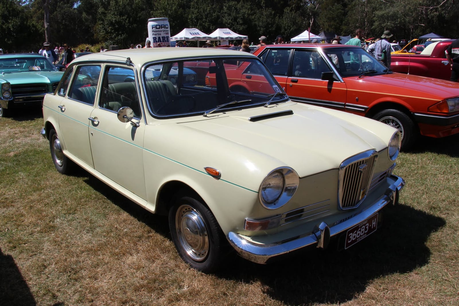 A cream 1972 Wolseley 18/85 saloon on grass at a classic car show, front three-quarter view showing the illuminated Wolseley grille badge