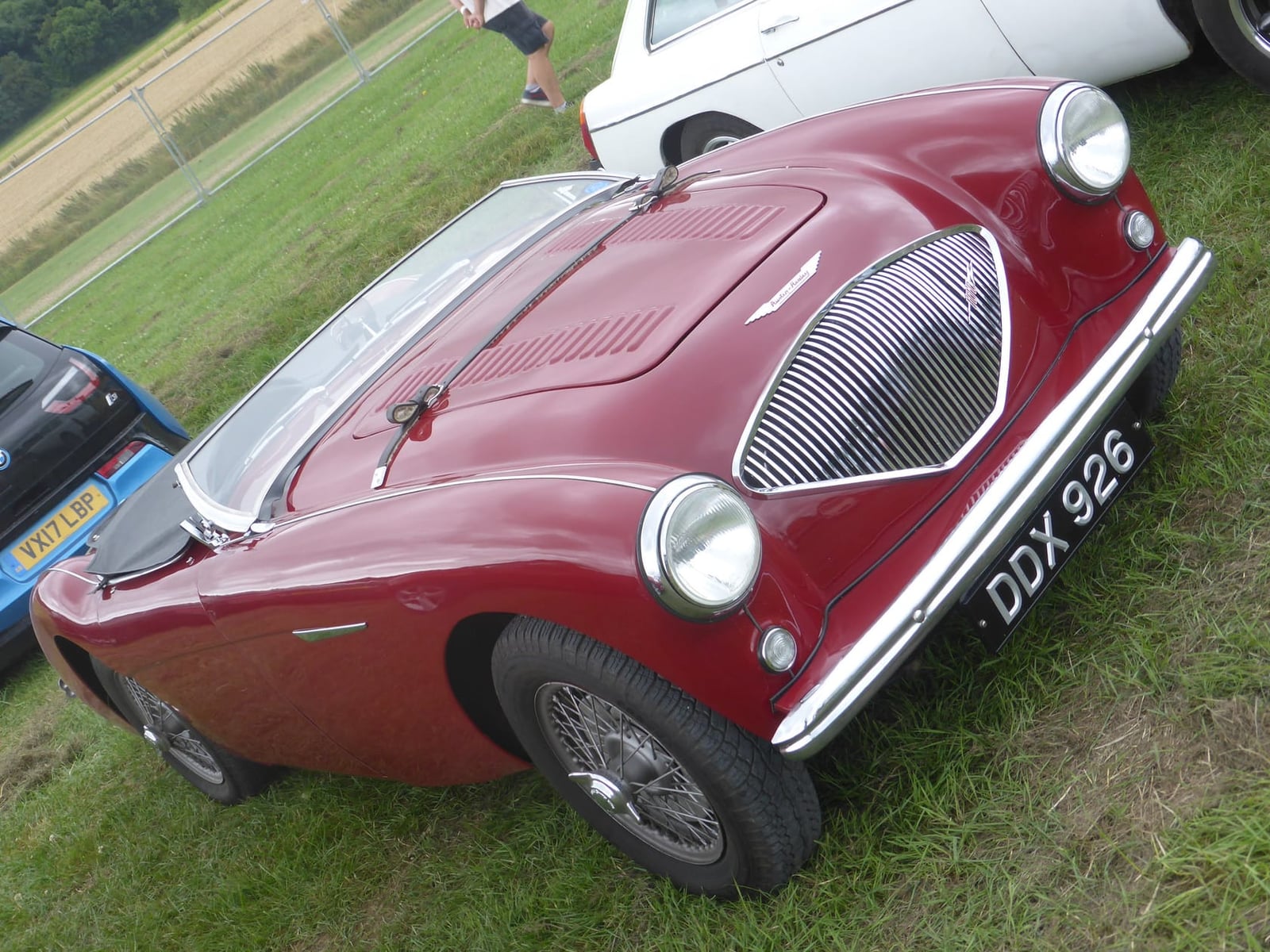 A maroon 1956 Austin-Healey 100 with a louvred bonnet and a UK registration on grass at a show, seen from the front