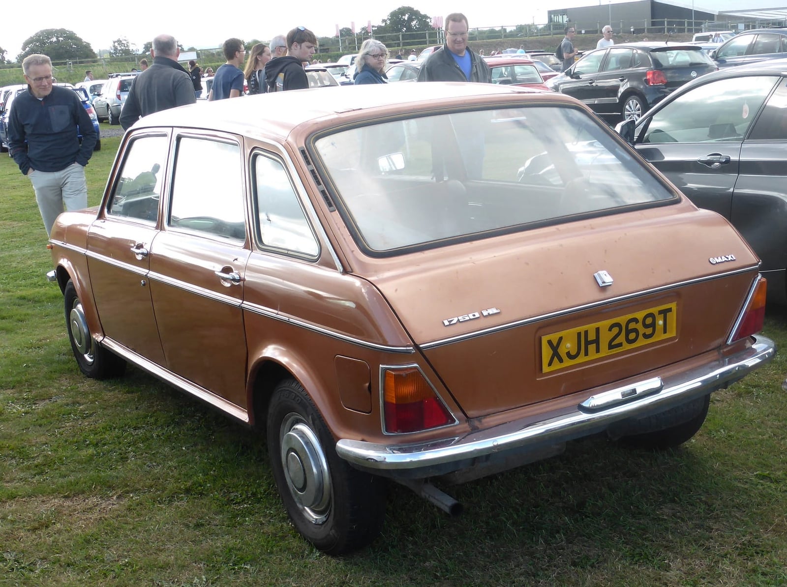 A brown 1978 Austin Maxi 1750 HL on grass, rear three-quarter view showing the full-height tailgate, UK registration XJH 269T