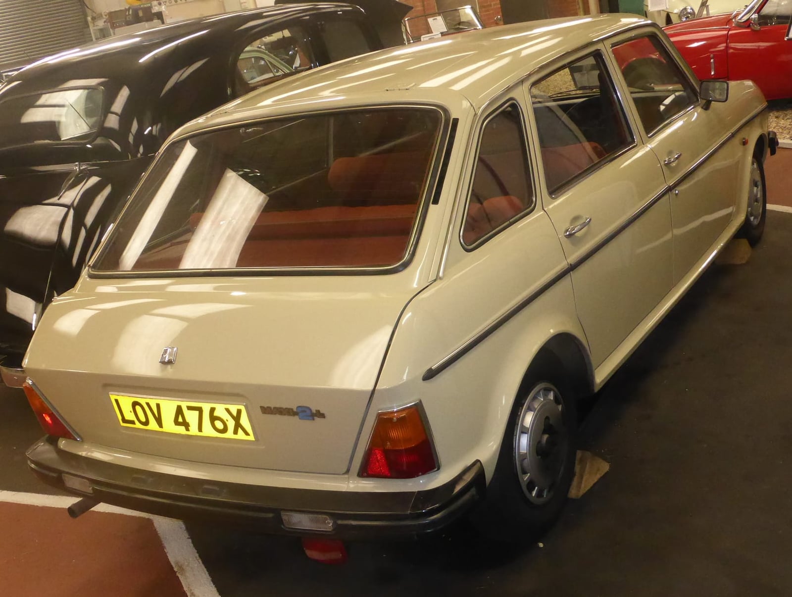 A beige 1981 Austin Maxi on indoor display, rear three-quarter view with the tailgate visible