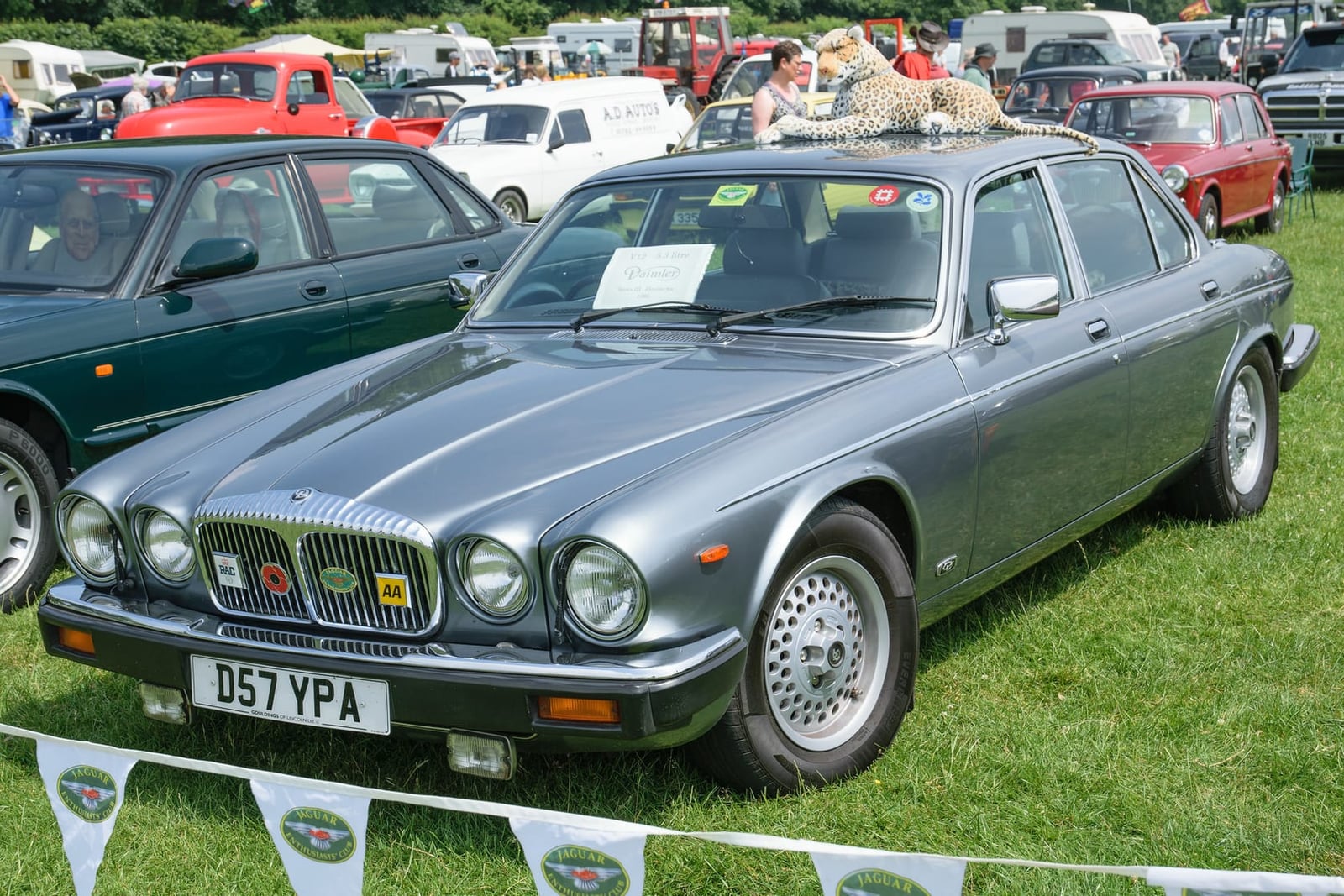 A silver-blue 1986 Daimler Double Six Series 3 with a UK registration on a show field with club bunting