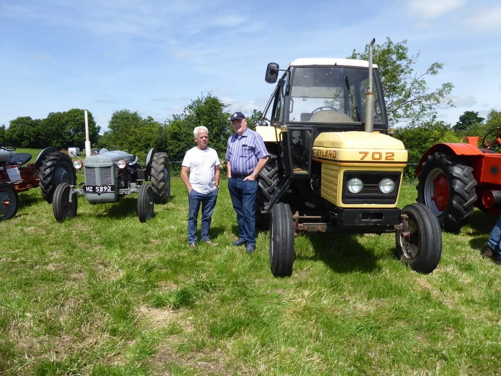 A grey Ferguson and other classic tractors gathered on grass with onlookers