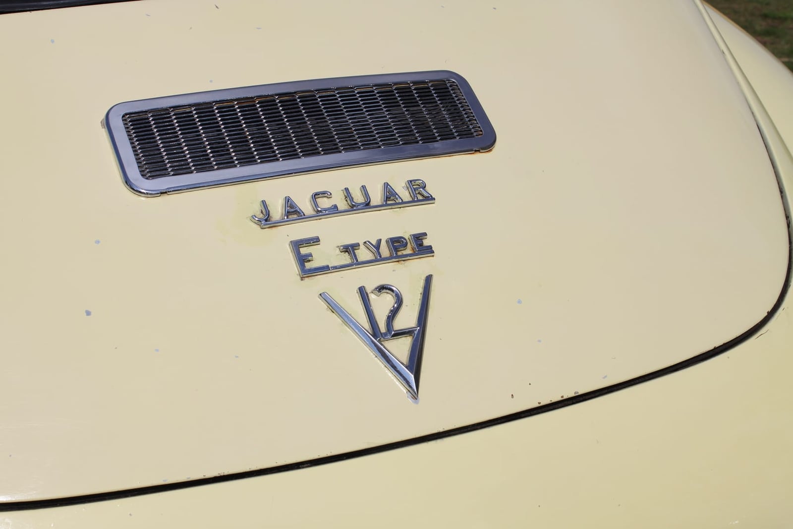Close-up of the Jaguar E-Type V12 badge on the bonnet of a cream Series 3