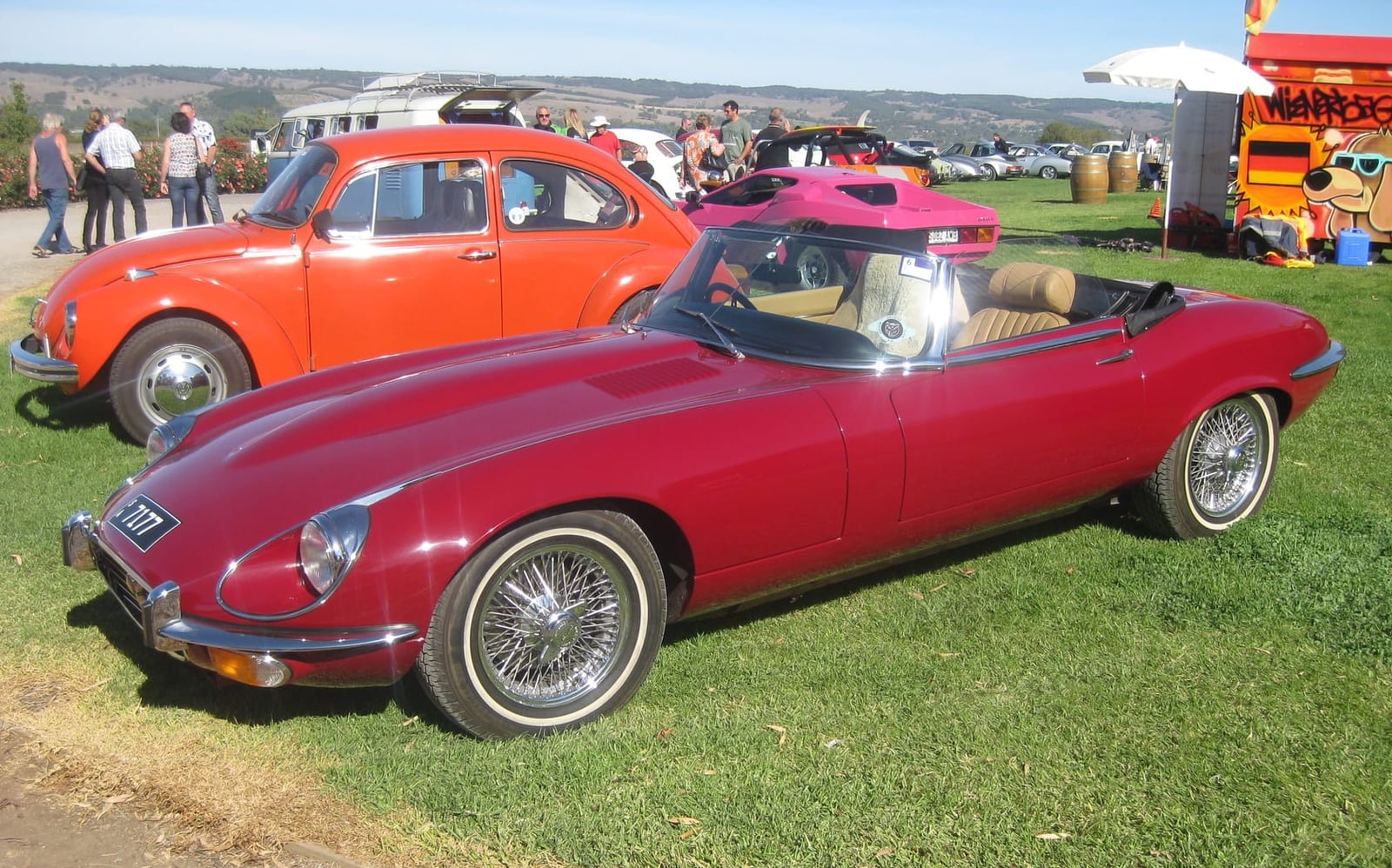 A maroon Jaguar E-Type Series 3 V12 roadster on grass at a classic car show, front three-quarter view
