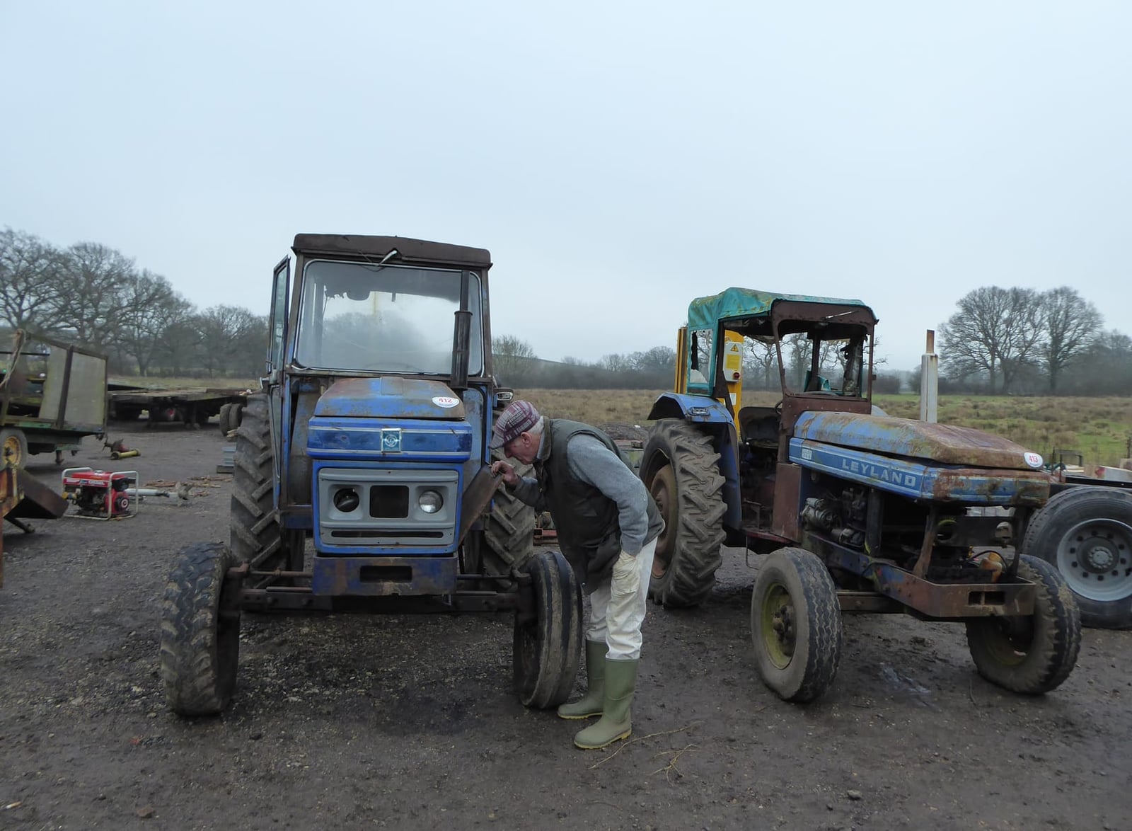 Leyland tractors lined up for sale at a farm auction
