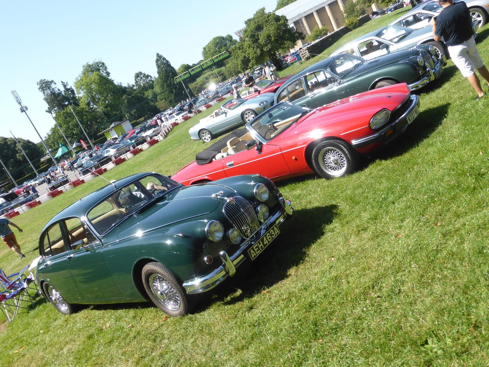A green Jaguar Mk2 among a field of Jaguars at the Simply Jaguar event at Beaulieu, an E-Type beside it