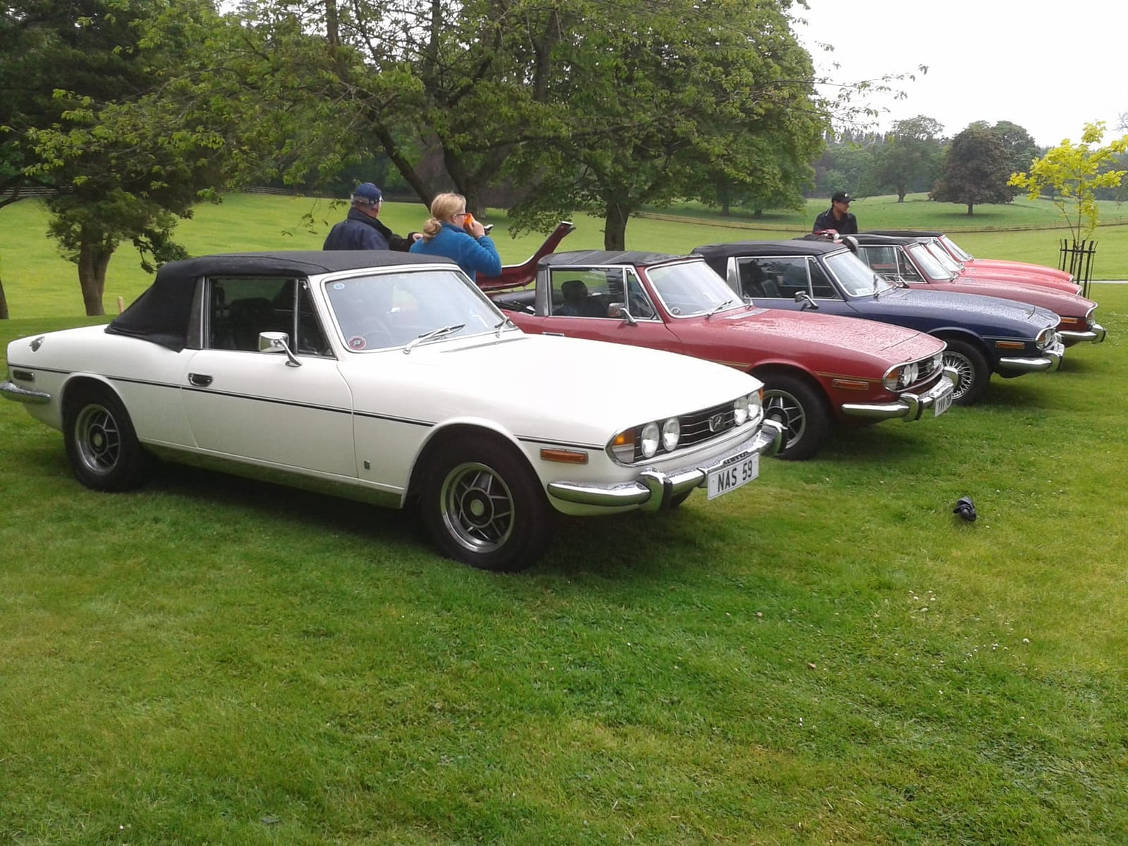Several Triumph Stags lined up together at a show