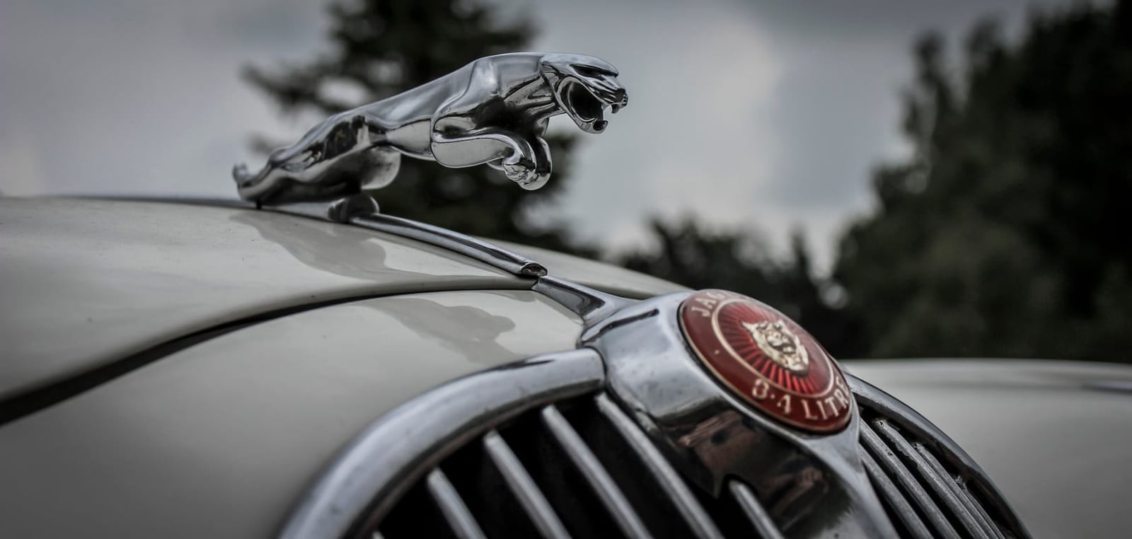 Close-up of the leaping-cat bonnet mascot on a 1961 Jaguar Mk2 3.4 at an auction viewing